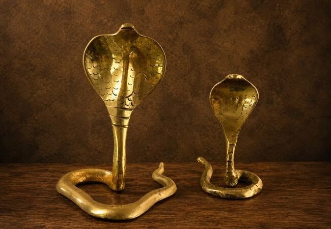 Brass Ornamental Snakes (2 Sizes)