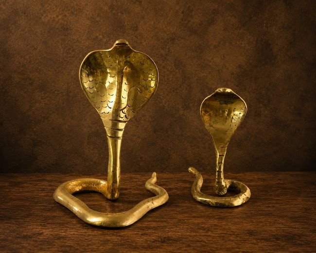 Brass Ornamental Snakes (2 Sizes)