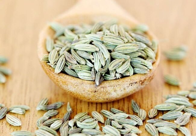 Fennel Seeds