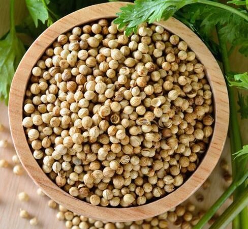 Coriander Seeds